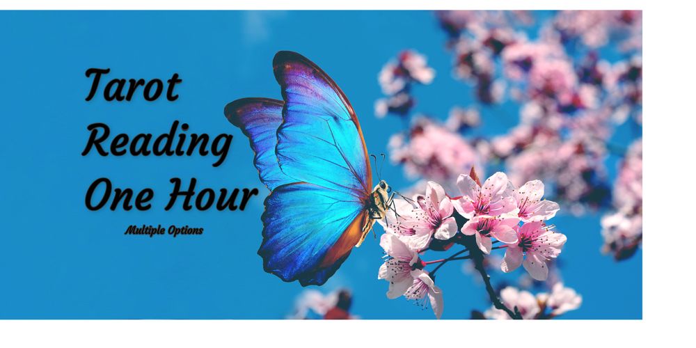 Tarot Reading(In-depth) 1 Hour 